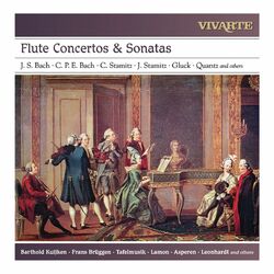 Cover of Flute Concertos & Sonatas: J. S. Bach, C. P. E. Bach, C. Stamitz, J. Stamitz, Gluck, Quantz and others