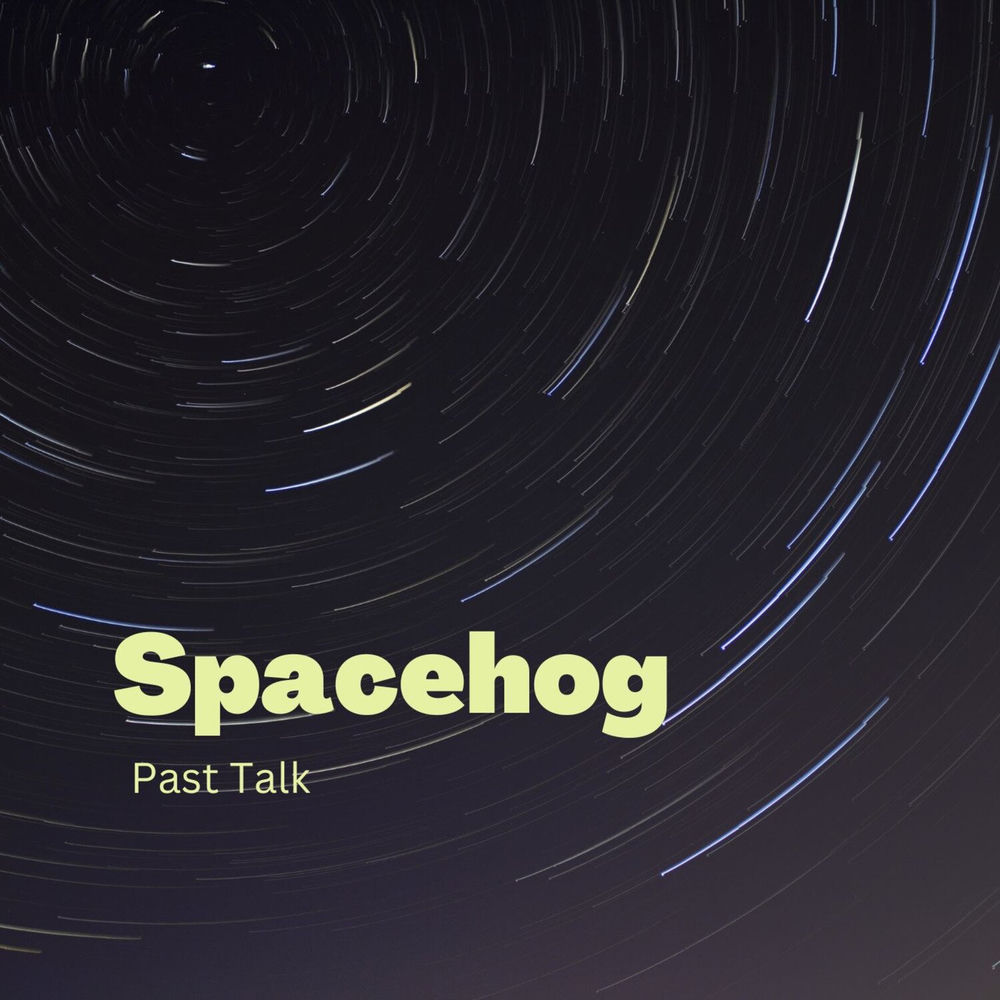 Album artwork for Past by Spacehog