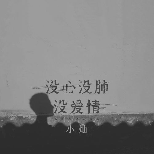 没心没肺没爱情