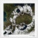 Hand In The Sand by Warung album cover