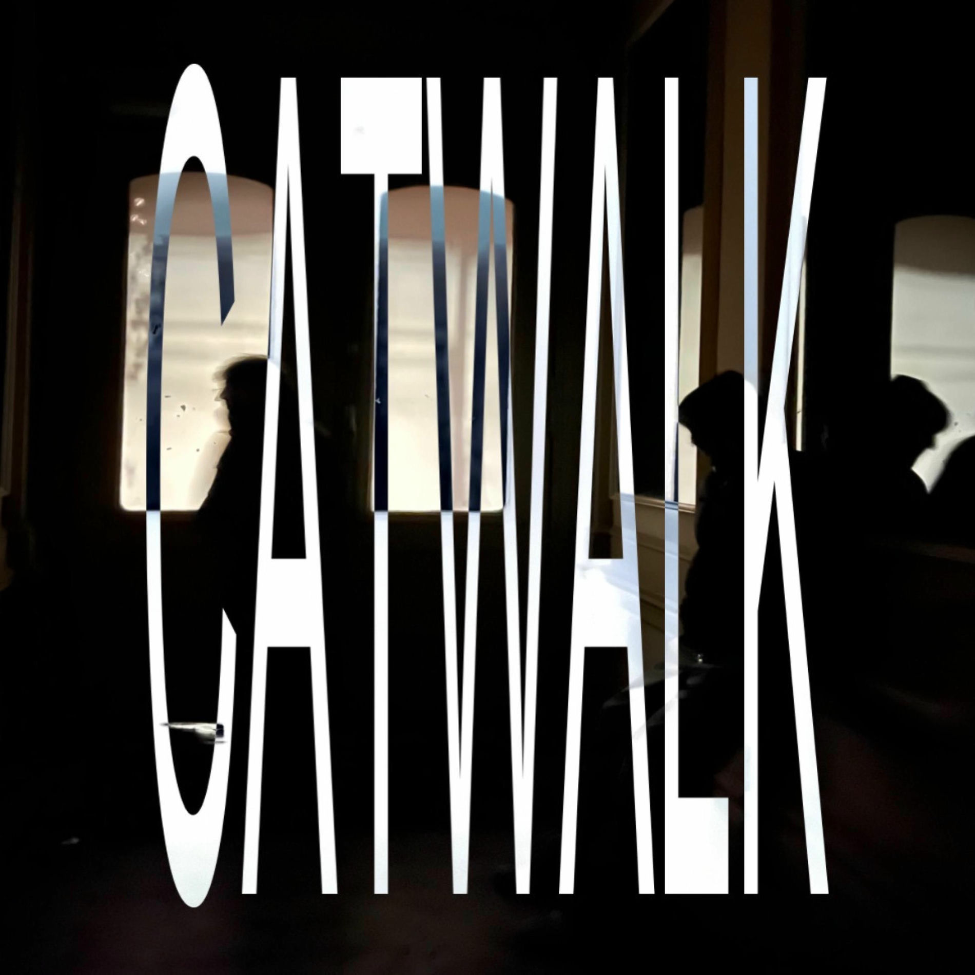 Album cover of catwalk