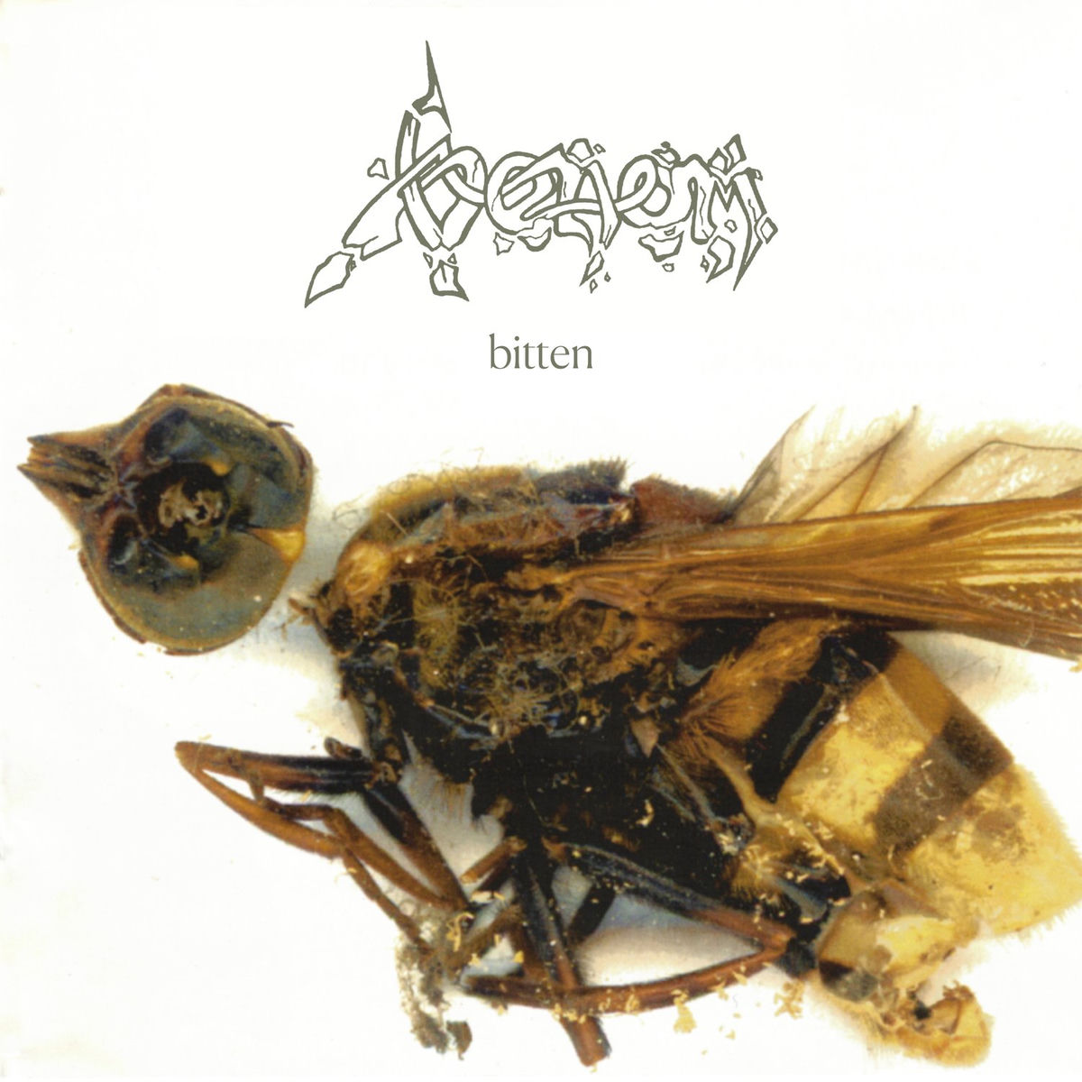 Venom - Bitten (Live) | Deezer