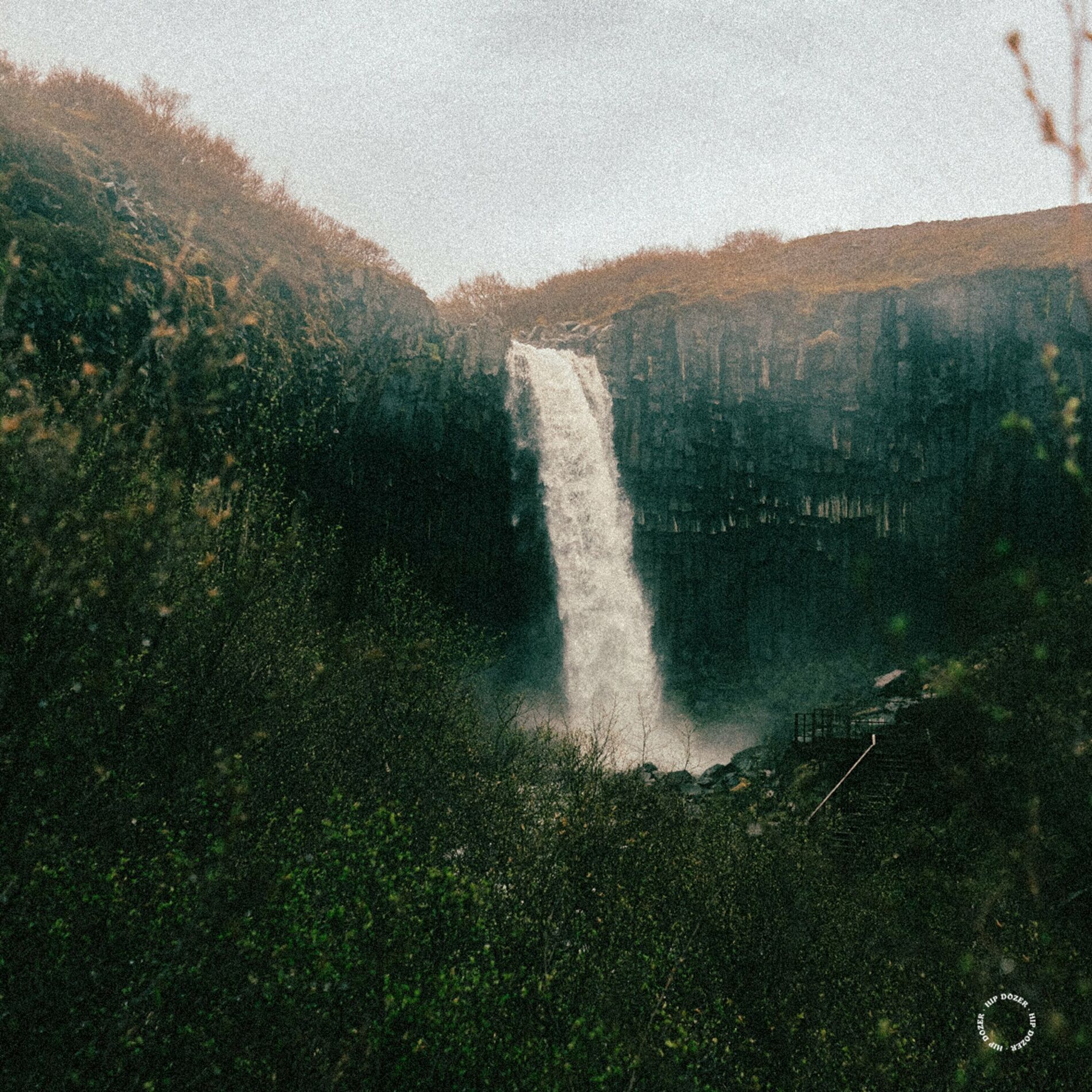 Album cover of Colossal