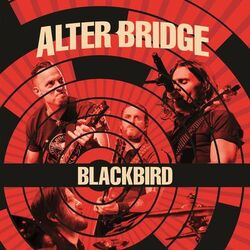Cover of Blackbird