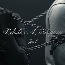 Cover of L'étoile et l'araignée