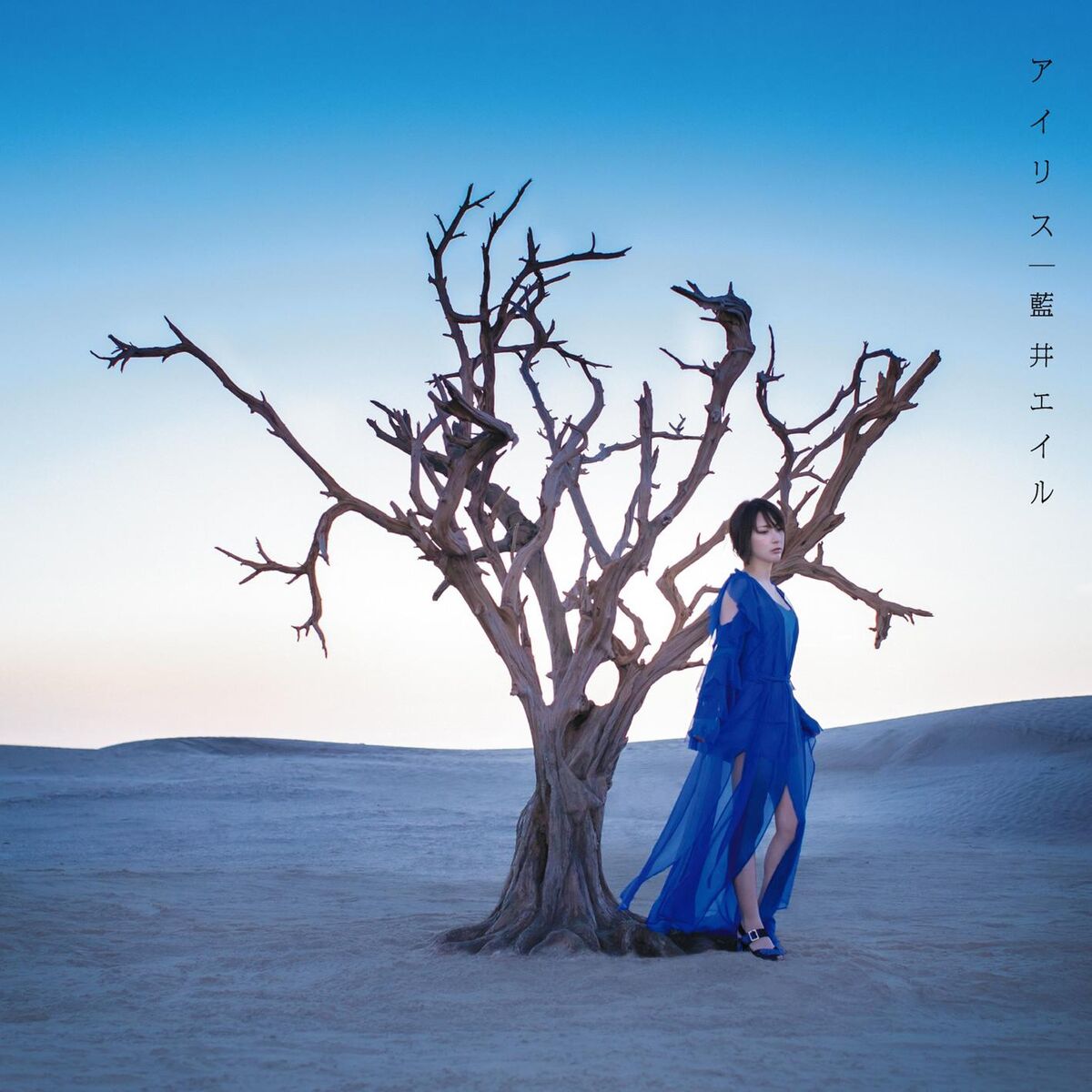Album cover of Iris
