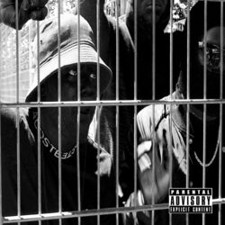 Cover of Pitbull Freestyle