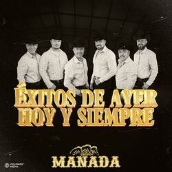 Cover of Exitos De Ayer Hoy Y Siempre (En Vivo)