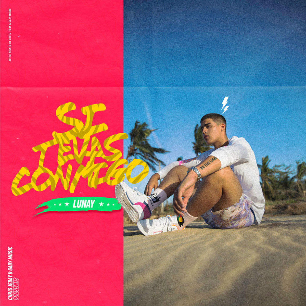 Album cover of Si Te Vas Conmigo