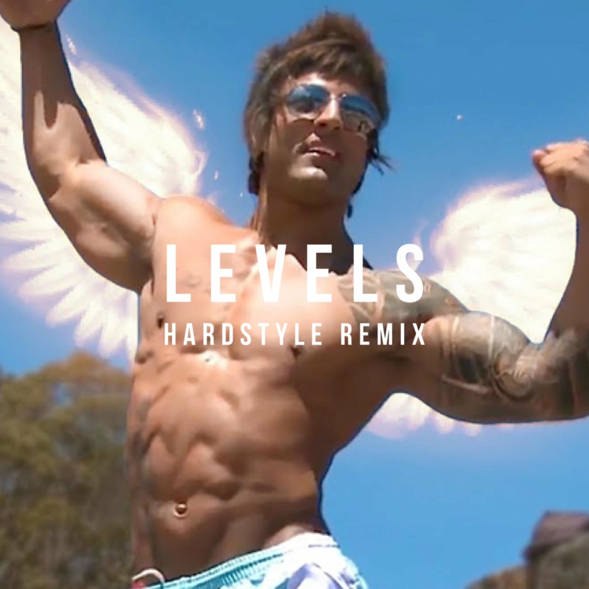 Album cover of Levels Hardstyle