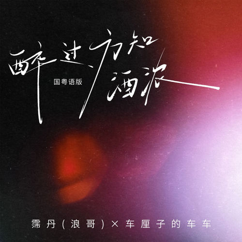 醉过方知酒浓(国粤语版)