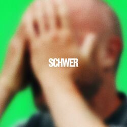 Cover of Schwer