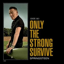 Cover of Only the Strong Survive