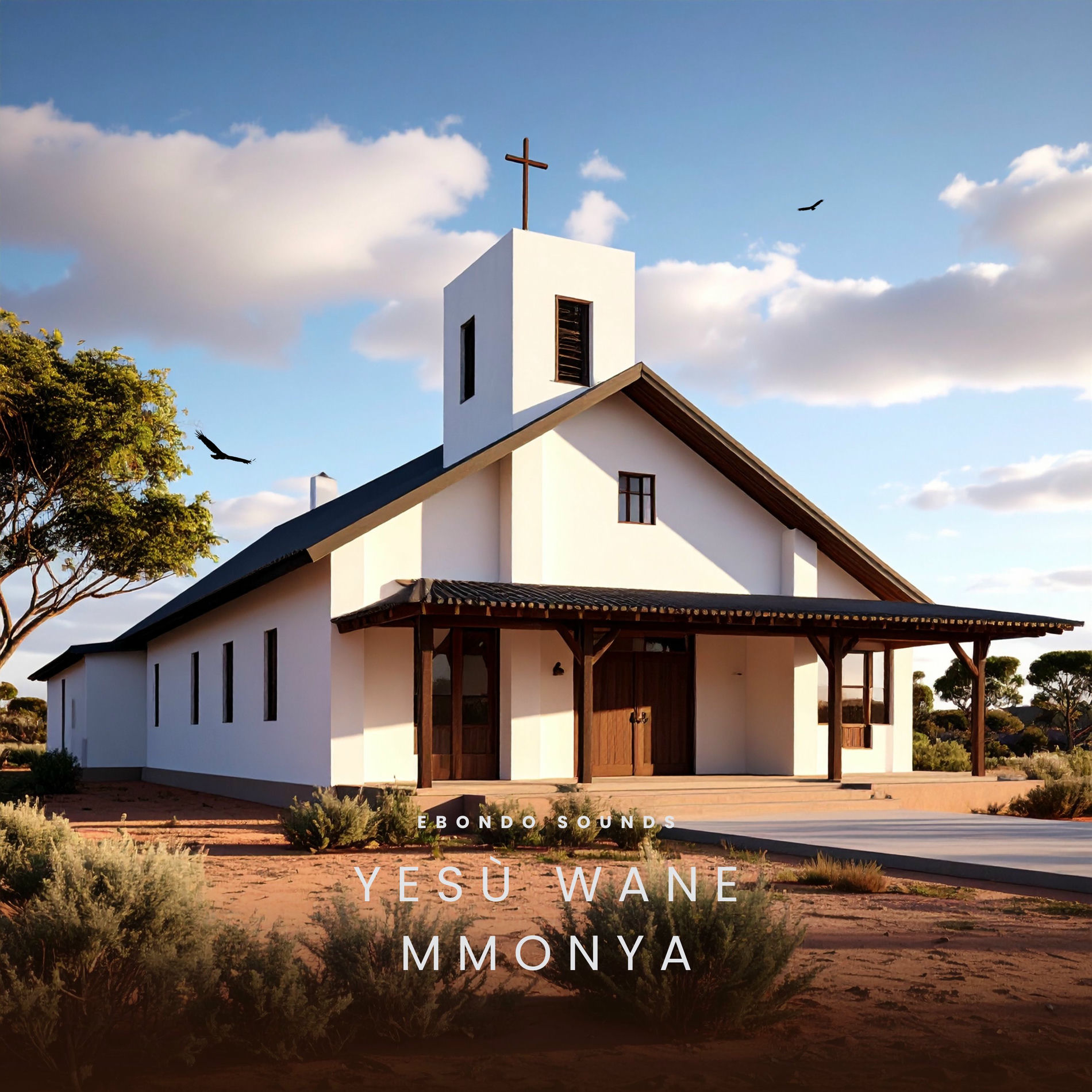 Album cover of Yesù Wane Mmonya