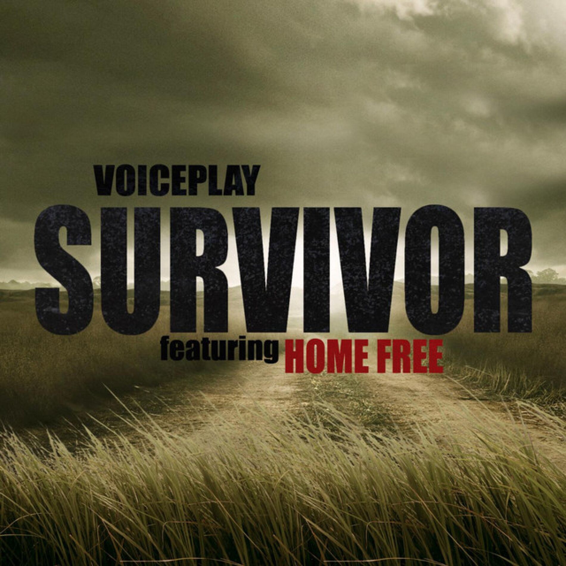 Album cover of Survivor