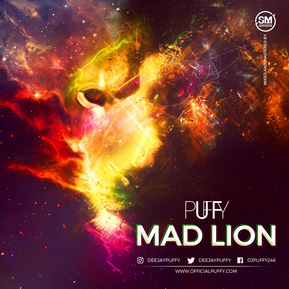 Picture of Mad Lion