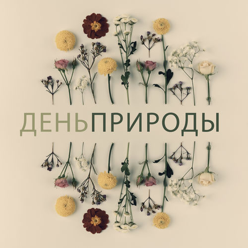 День природы - Целебная музыка - Глубокое расслабление и медитация