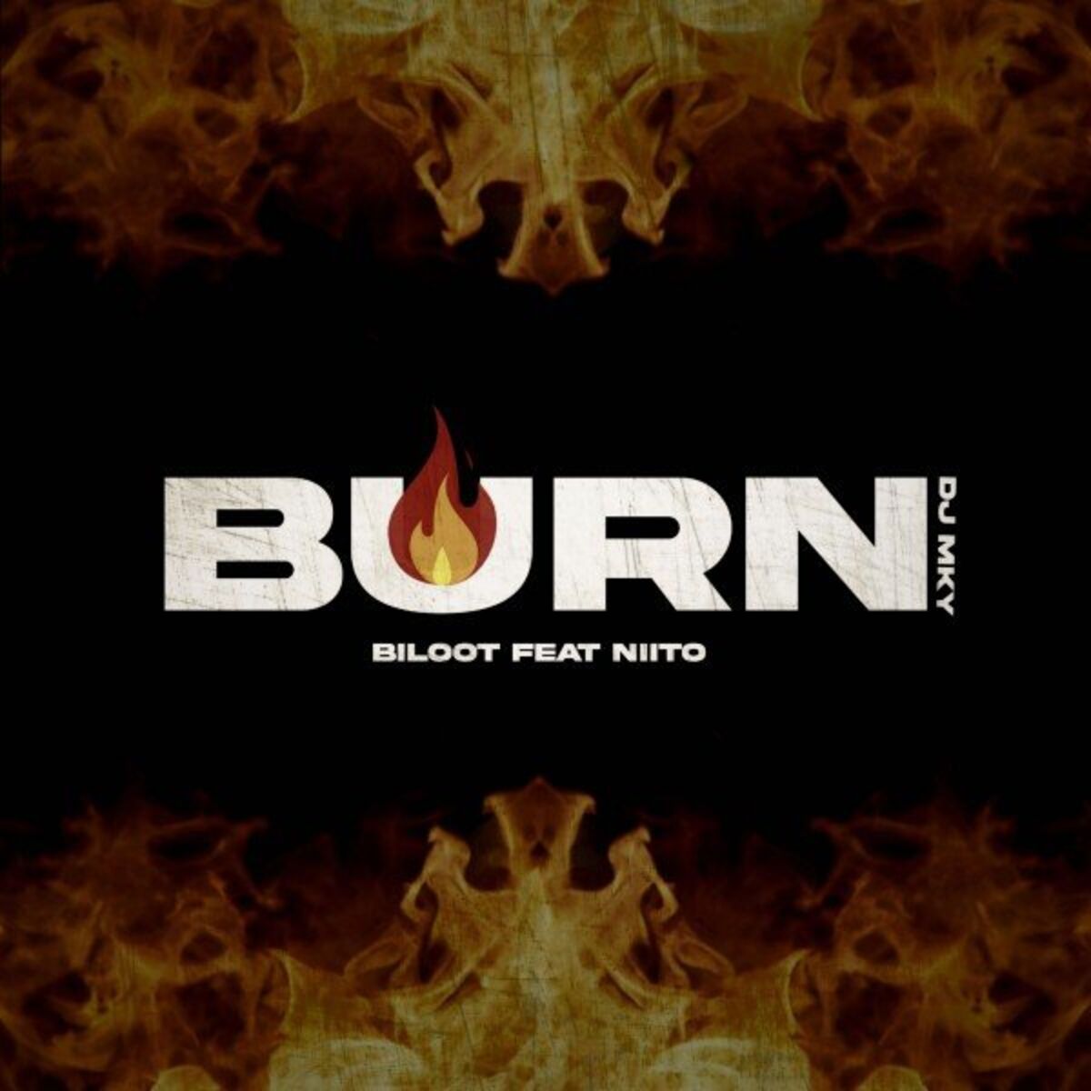 Album cover of Burn