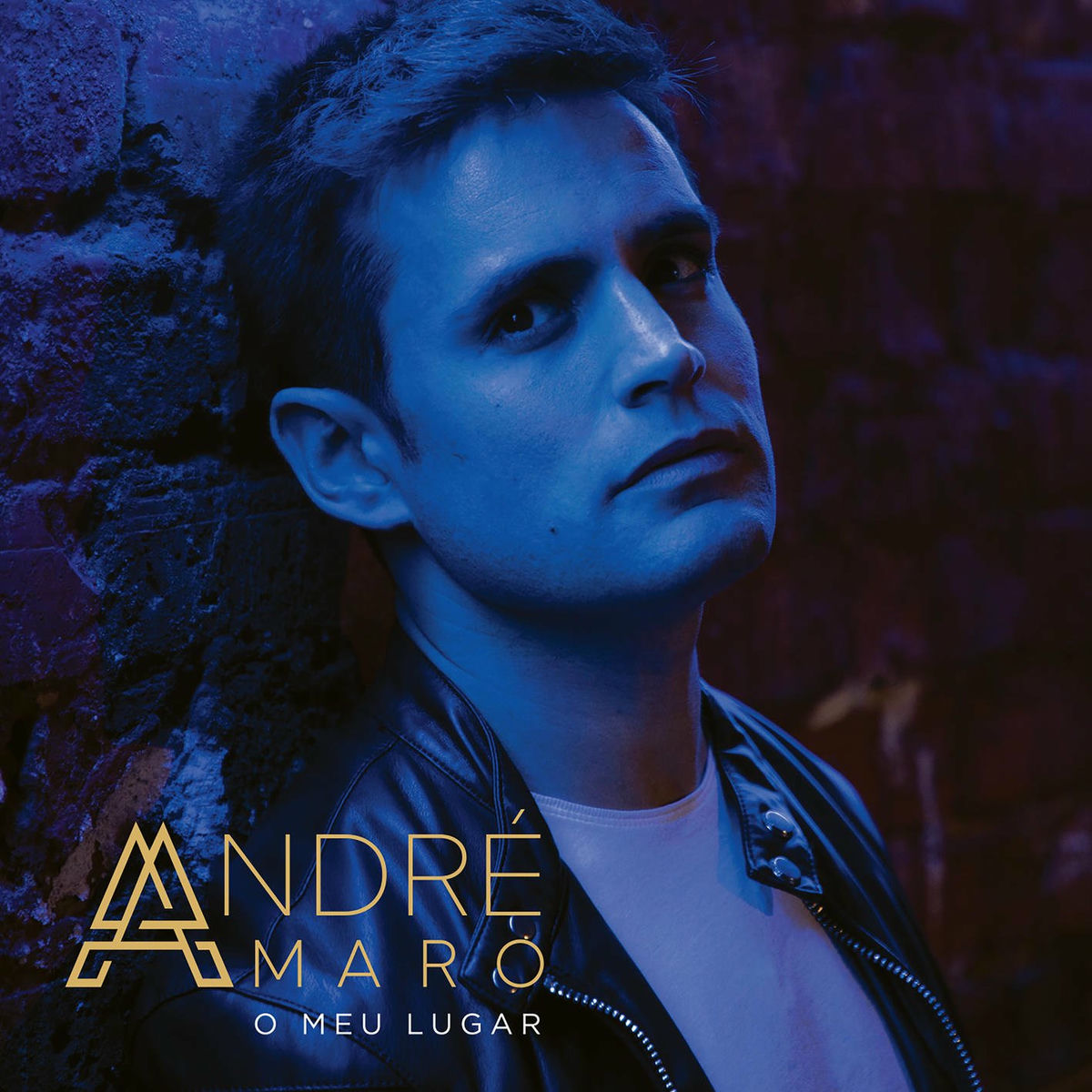 Album cover of O Meu Lugar