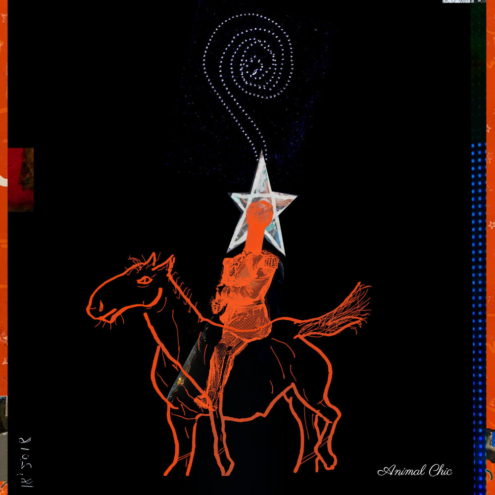 Album artwork for Nobody by ANIMALIA