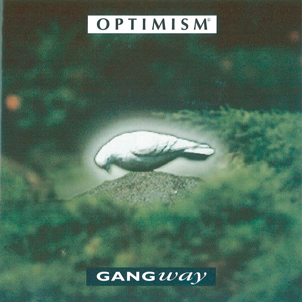 Picture of Optimism