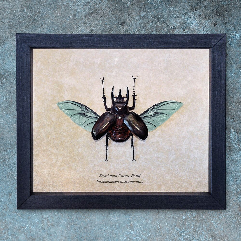 Picture of Insectenleven Instrumentals
