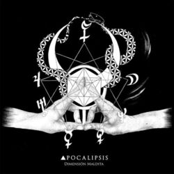 Cover of Dimensión Maldita
