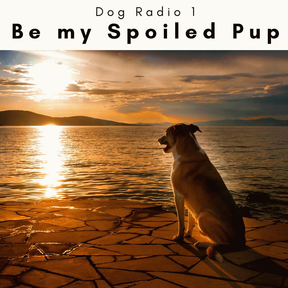 Picture of 4 D: Be my Spoiled Pup