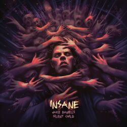 Cover of Insane (ft. Silent Child)