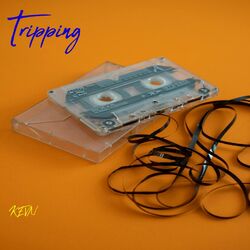 Cover of Tripping