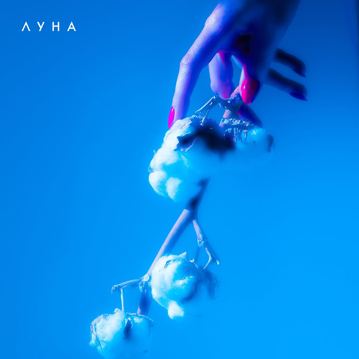 Album cover of Пелікан