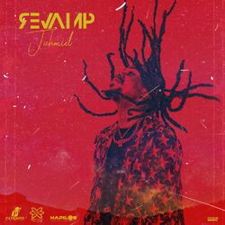 Cover of Revamp