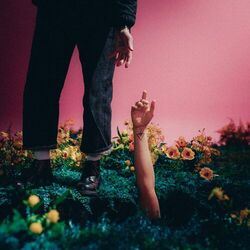 Cover of For You