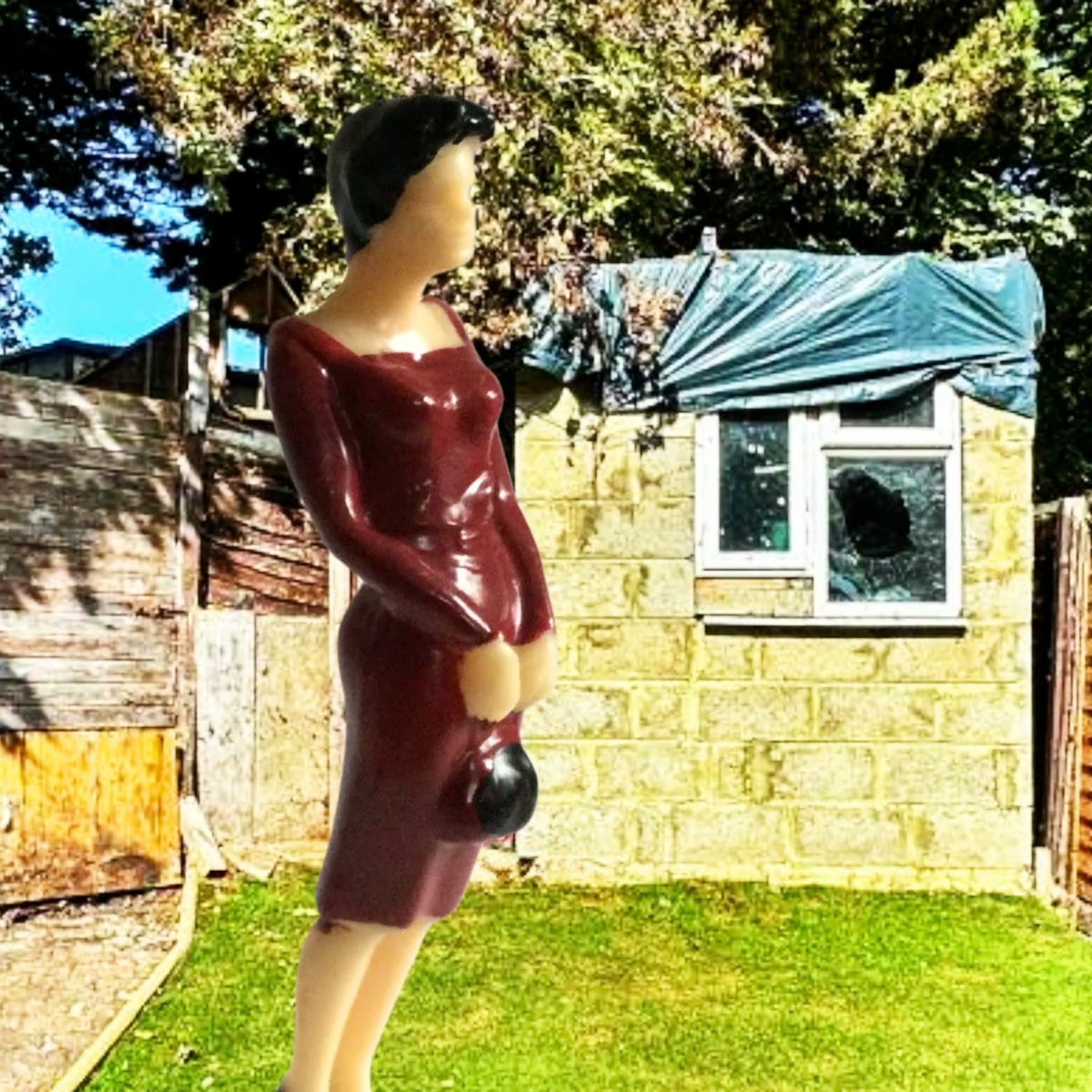 Album cover of Lady of the Manor