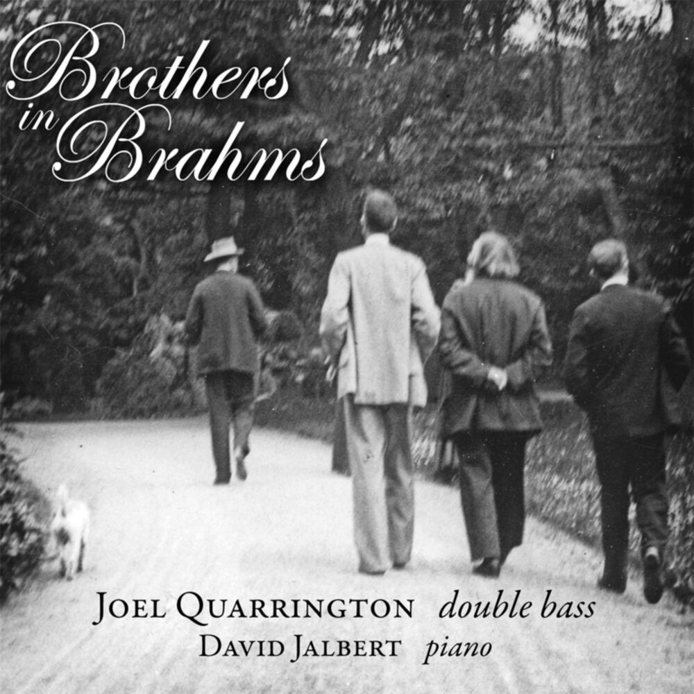 Picture of Brothers in Brahms