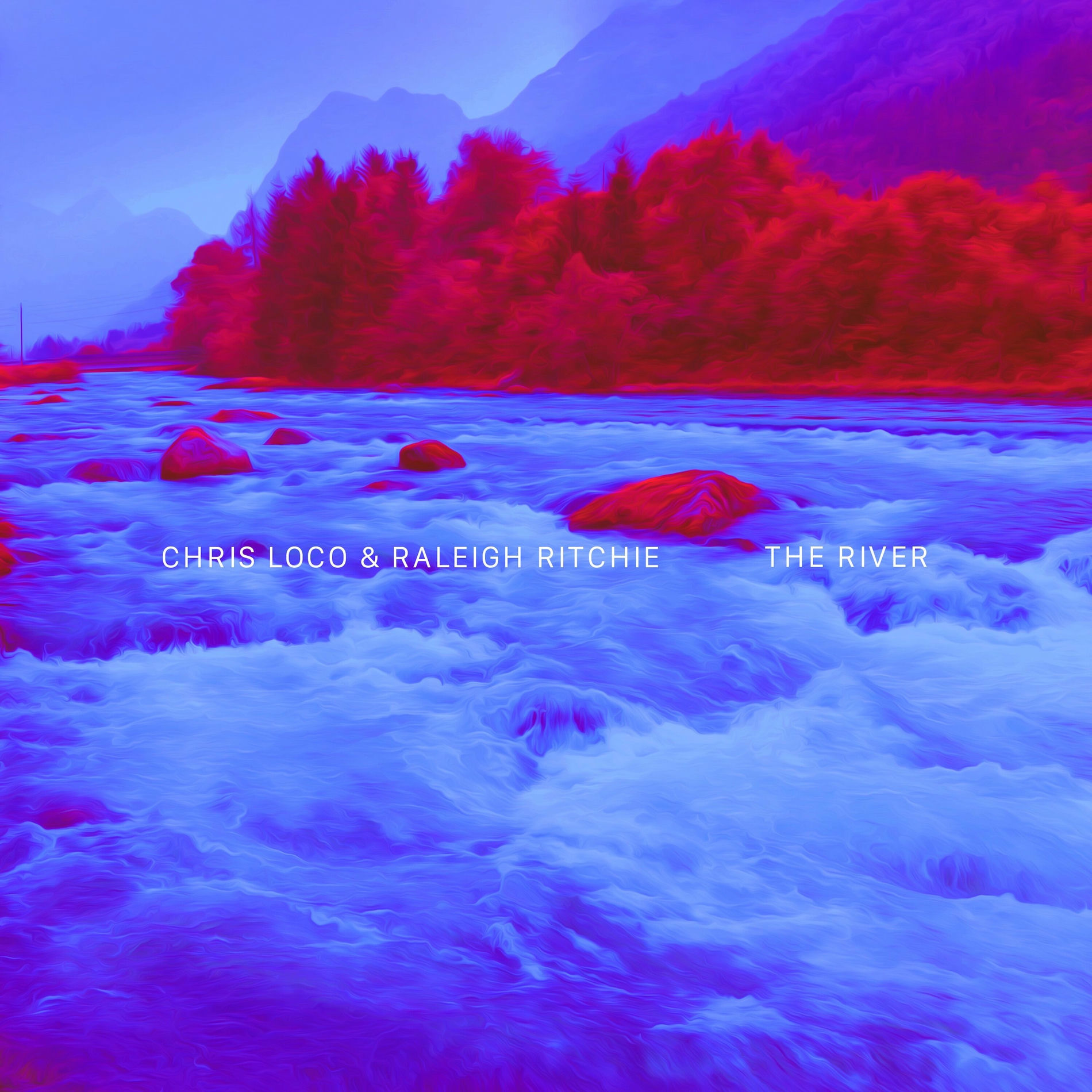 Album cover of The River