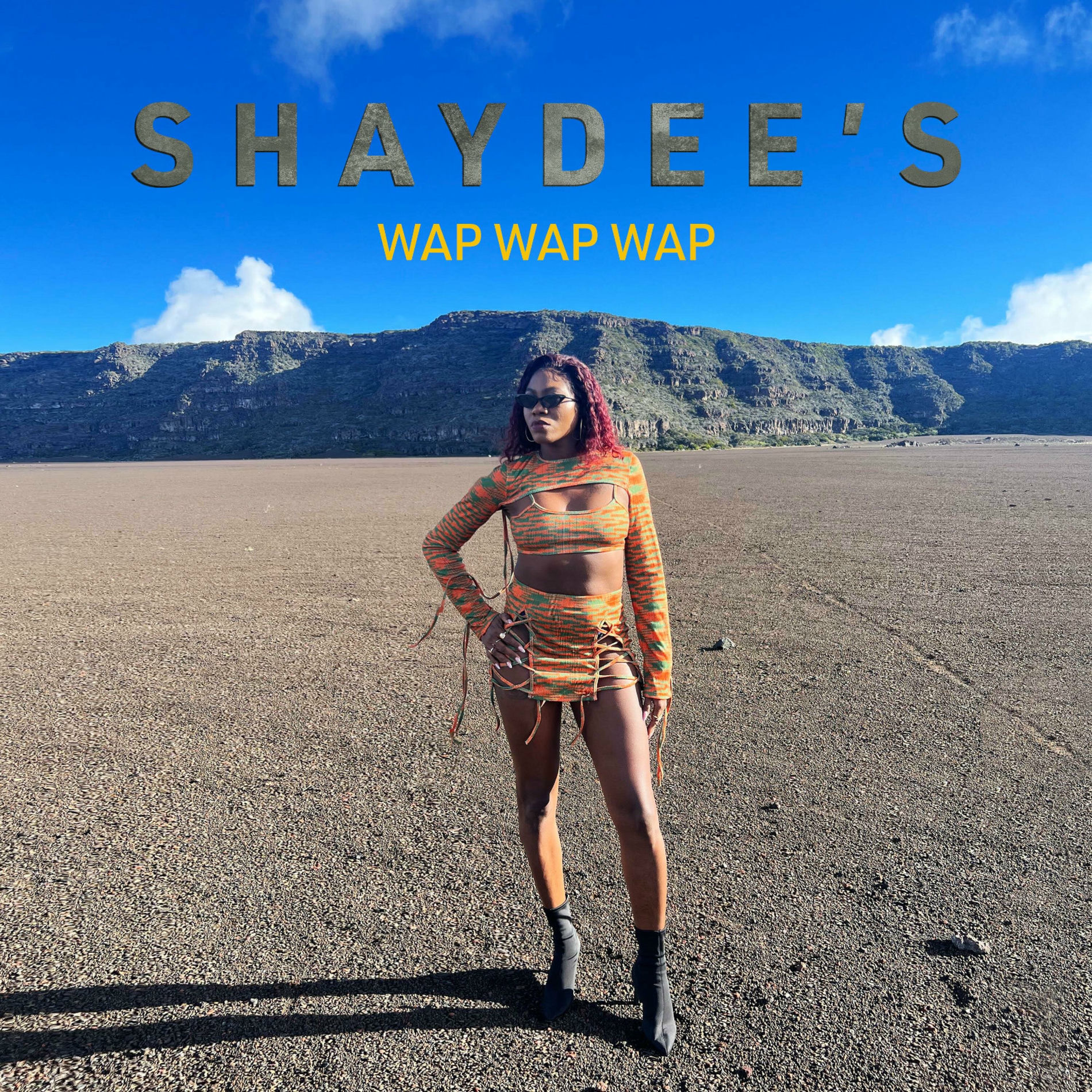Album cover of wap wap wap