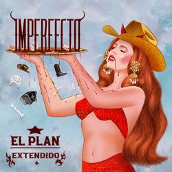 Cover of Imperfecto (Extendido)