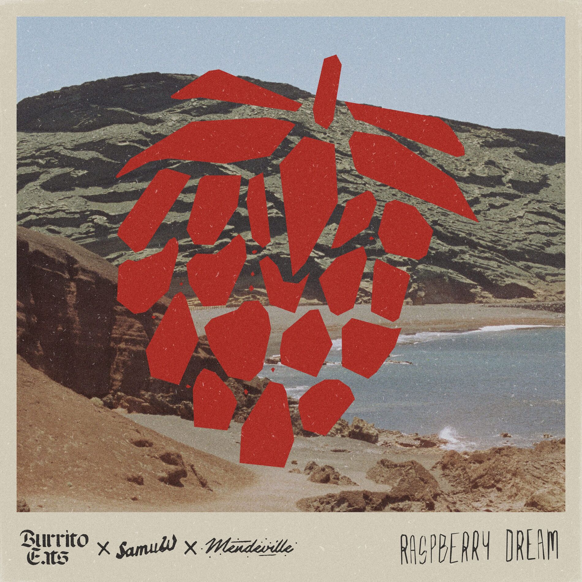 Album cover of Raspberry Dream