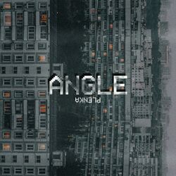 Cover of Angle