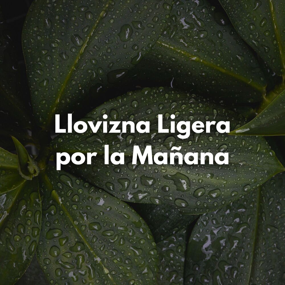 Picture of Llovizna Ligera Por La Mañana