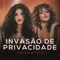 Cover of Invasão De Privacidade