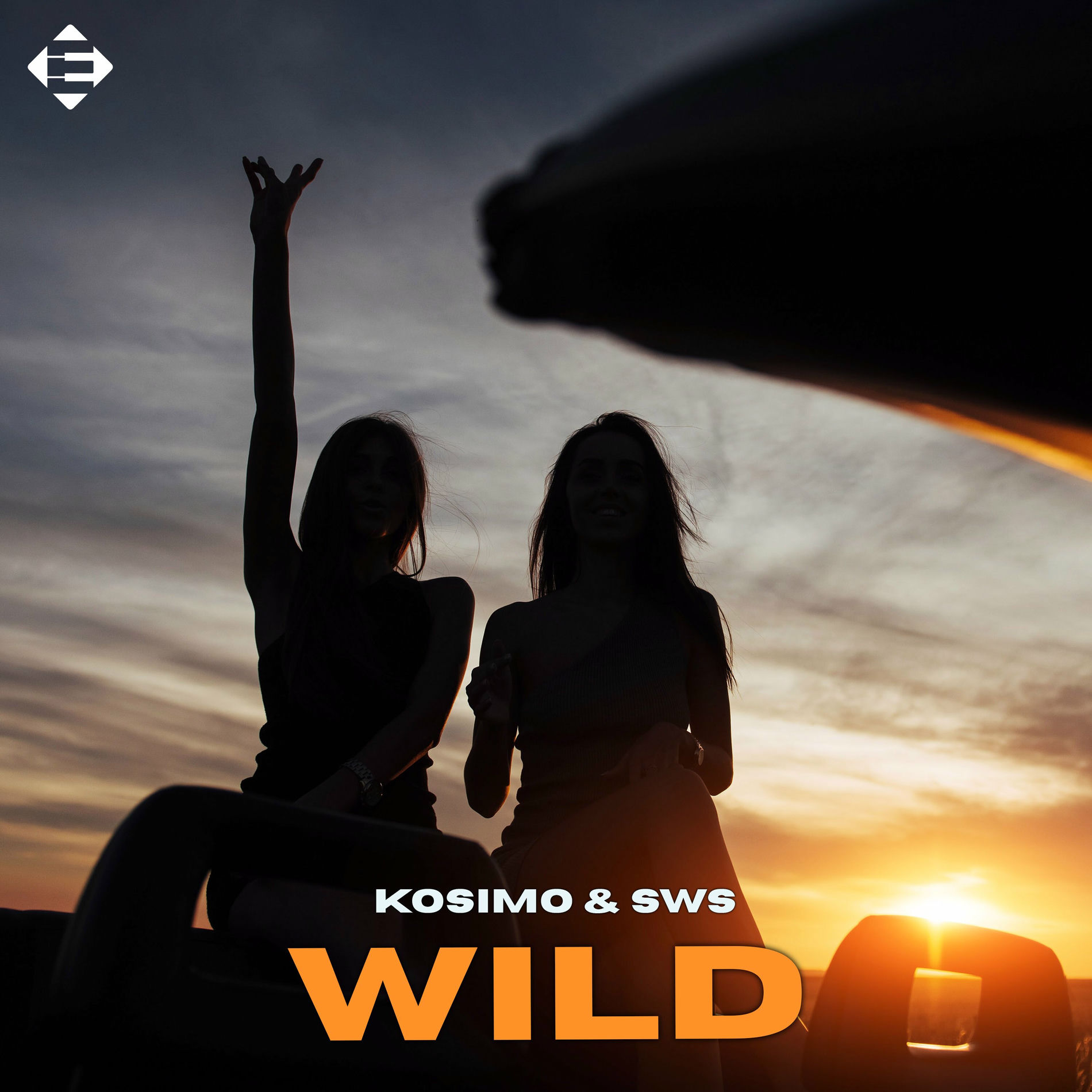 Album cover of Wild