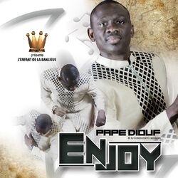 Cover of Enjoy