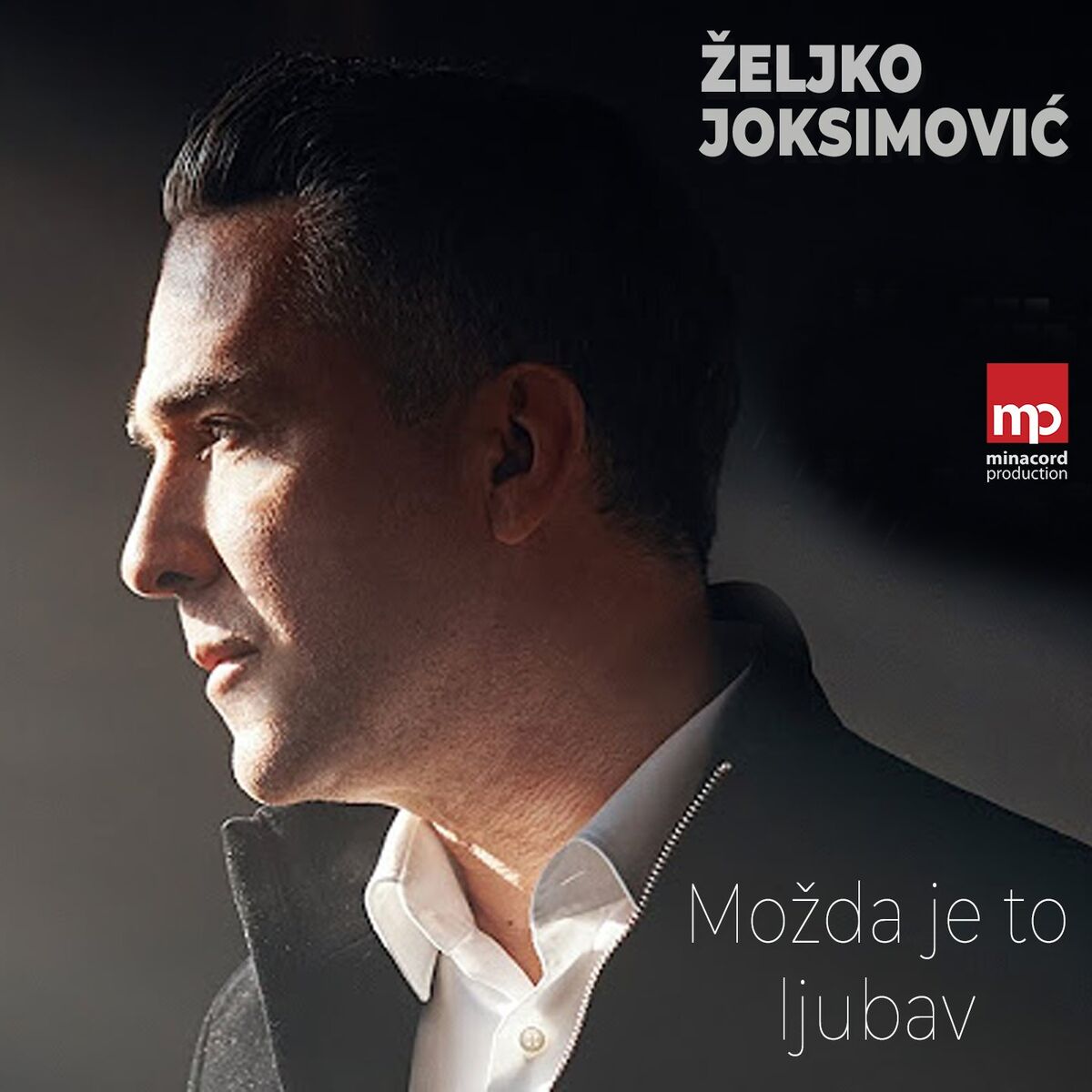 Album cover of Možda je to ljubav