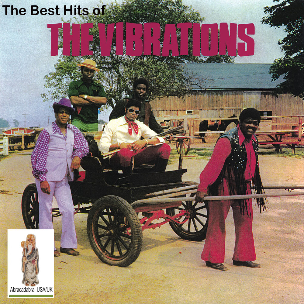 Picture of The Best Hits of the Vibrations