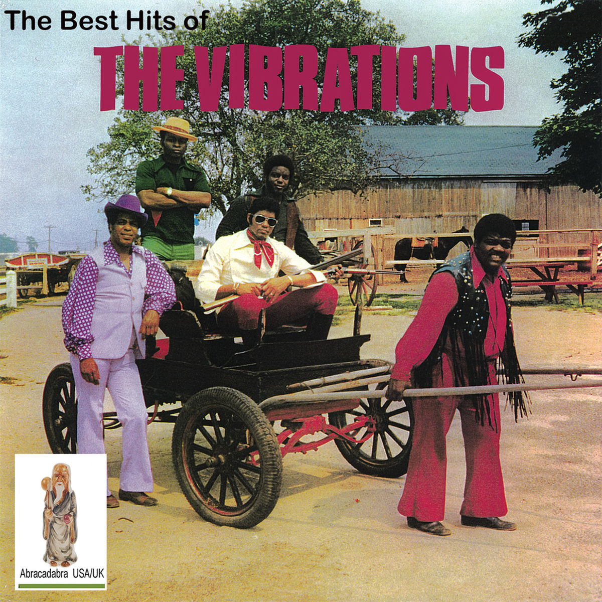 Album cover of The Best Hits of the Vibrations