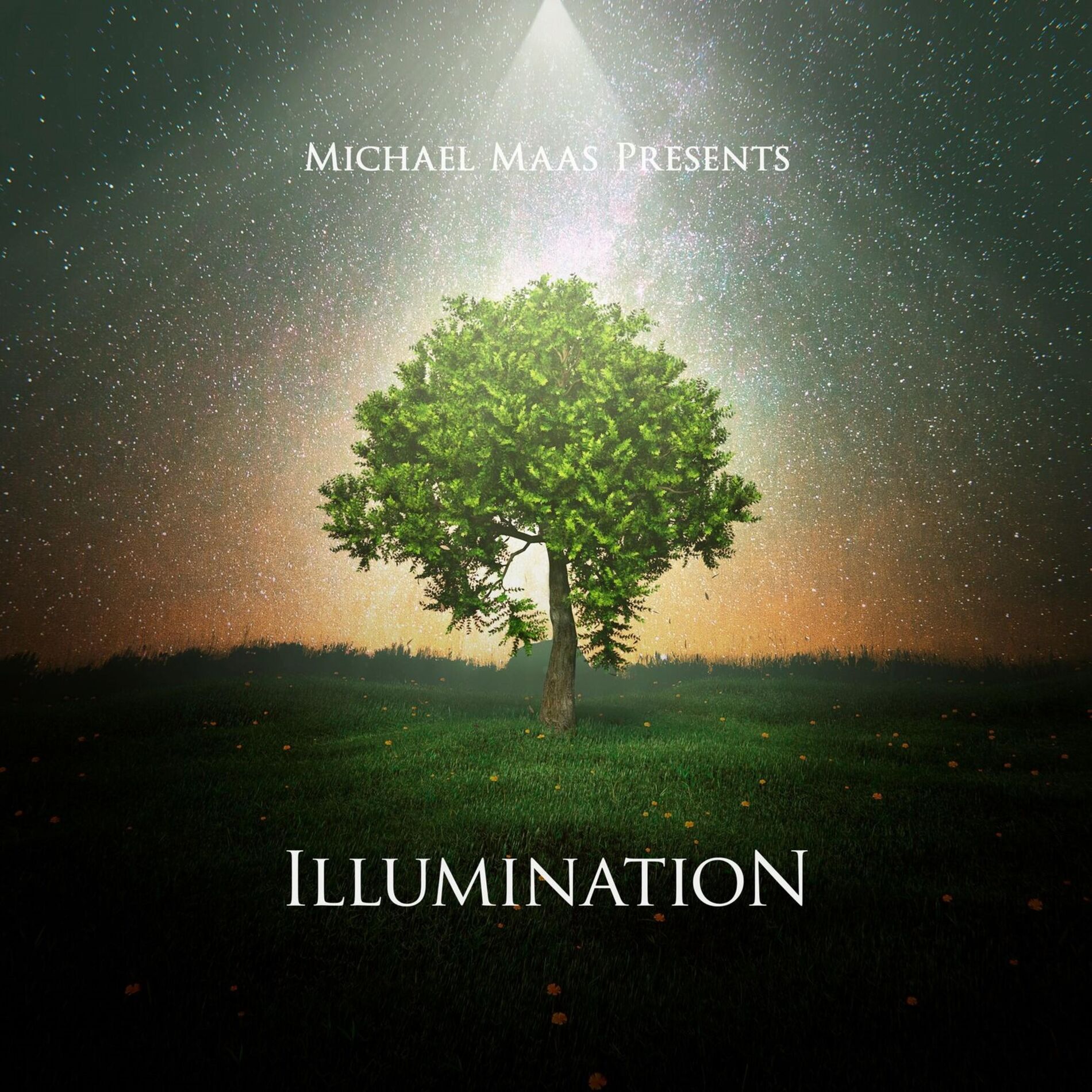Album cover of Illumination