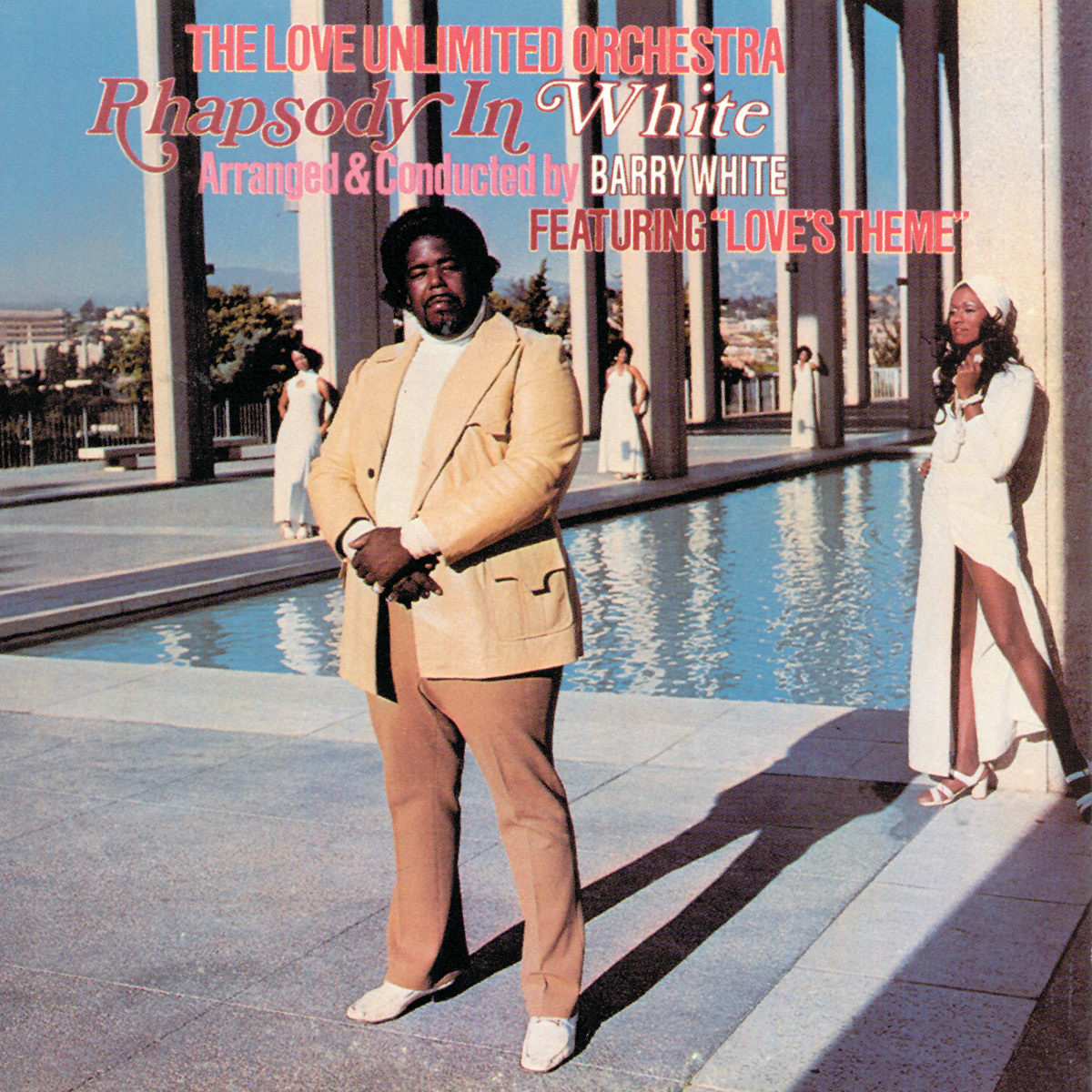Love Unlimited Orchestra コンピレーションアルバム The Love Unlimited Orchestra – Love's Theme – Vinyl (7