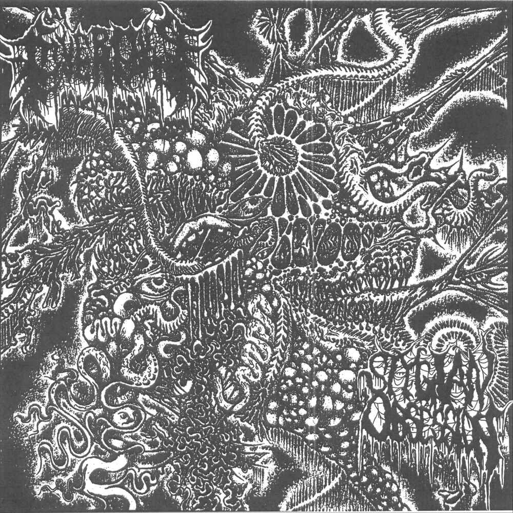 Picture of Heralds of Affliction